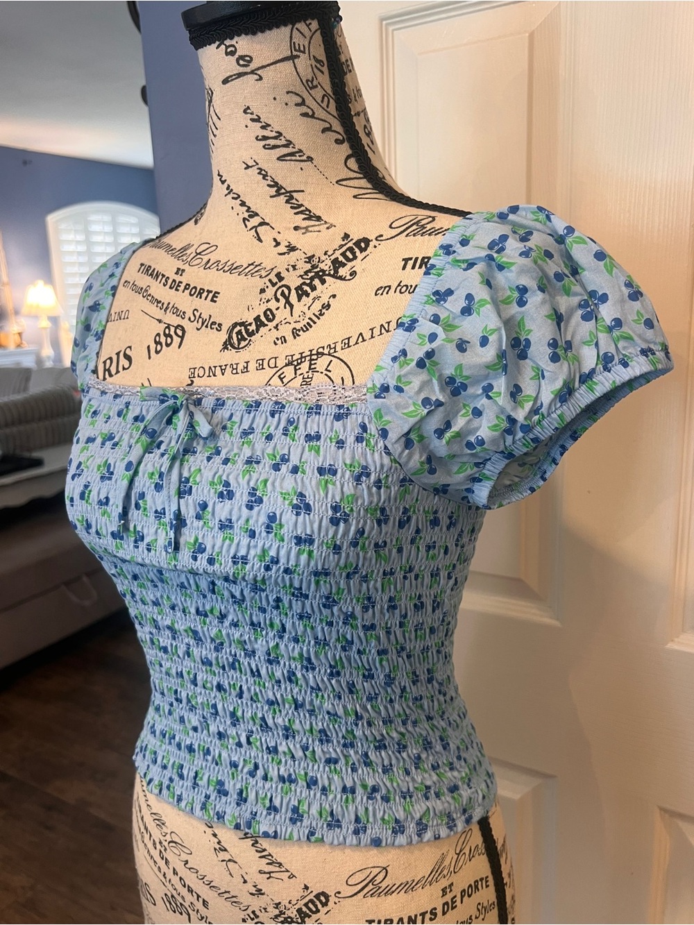 Blueberry Fruit Print Smocked Crop Top Puff Short Sleeve Square Neck Cottagecore